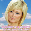 wild-fflowers avatar