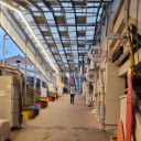 wild-flower31 avatar