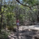 wild-flwr-blog avatar