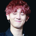 wild-for-yeol avatar