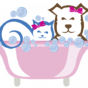 wild-freedom-ajskdlf avatar