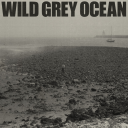 wild-grey-ocean avatar