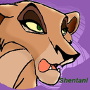 wild-huntress avatar