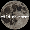 wild-movement avatar