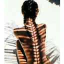 wild-spirit-blog avatar