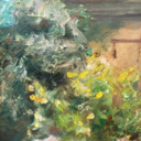 wild-was-wonderful avatar