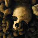 wild-wisteria avatar