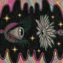 wild-world-violet avatar