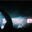 wildand-reckless avatar