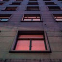 wildbearappears avatar