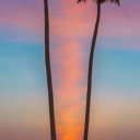 wildbeasts-blog avatar