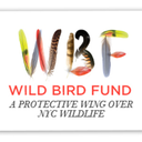 wildbirdfund avatar