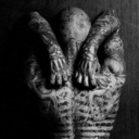 wildblueangel-95 avatar