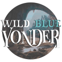 wildblueyonderhq avatar