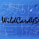 wildcard4505 avatar