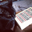 wildcat-brazil avatar