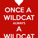 wildcatloveralways14 avatar