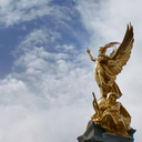 wildcinnabunny avatar