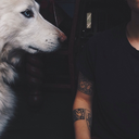 wilderthaanyouu avatar