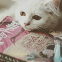 wildestdreams1 avatar