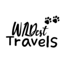 wildesttravels avatar