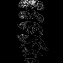 wildfireparadox avatar