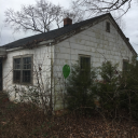 wildflower-ditch avatar