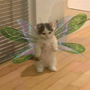 wildflower-dreaming avatar