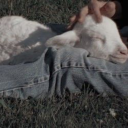 wildflower-n-barley avatar