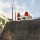 wildflowereyes avatar