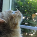 wildflowerwritings19 avatar