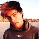 wildflowicons avatar