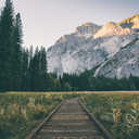 wildlifeconservation avatar