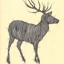 wildlyconstant avatar