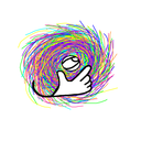 wildlythoughtfultyphoon avatar