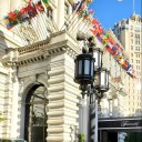 wildpinksparklets avatar