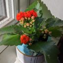 wildplacemagic avatar