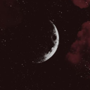 wildredmoon013 avatar