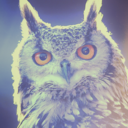 wildskream-blog avatar