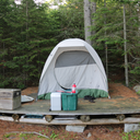 wildwildernesswild avatar