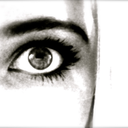 wildwillowblog avatar