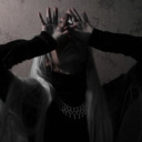 wildwolvesaroundyou avatar