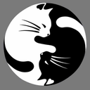 wildyinandyangkitten avatar