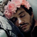 will-grahamcracker avatar