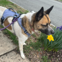 will-never-post-again avatar