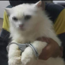 willbyerstoledo avatar