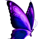 willgrahamwhat avatar