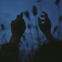 willieowinsbury avatar