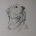 willmile-blog avatar