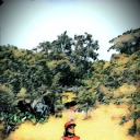 willowall avatar